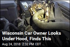 Wisconsin Car Owner Looks Under Hood, Finds This