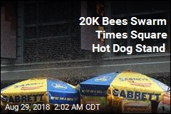 20K Bees Swarm Times Square Hot Dog Stand