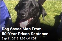 Dog Saves Man From 50-Year Prison Sentence