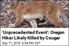 &#39;Unprecedented Event&#39;: Oregon Hiker Likely Killed by Cougar