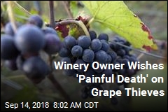 Winery Owner Wishes &#39;Painful Death&#39; on Grape Thieves