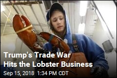 Lobster Biz Sees Layoffs, Low Prices Amid Trade War