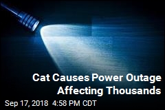 Cat Causes Power Outage Affecting Thousands