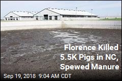 NC&#39;s Latest Post-Storm Fiasco: Flooded Pig-Waste Lagoons