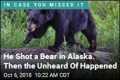 Soldier Severely Injured by Falling Bear in Alaska