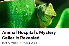 Animal Hospital&#39;s Mystery Caller Is Revealed