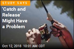 Common Fishing Practice Not as Humane as Thought