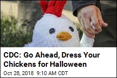 Never Fear, CDC Says Chickens Can Dress Up for Halloween