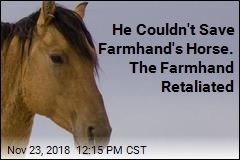 He Couldn&#39;t Save Farmhand&#39;s Horse. The Farmhand Retaliated