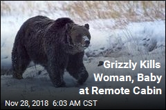 Bear Kills Woman, Baby at Remote Cabin