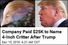 Company Paid $25K to Name Amphibian After Trump