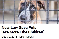 Cali Pets About to Get Some Serious Rights