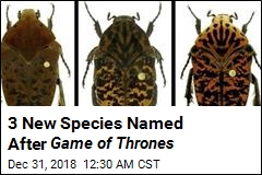 3 New Species Named After Game of Thrones