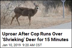 Uproar After Cop Runs Over &#39;Shrieking&#39; Deer for 15 Minutes