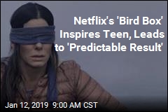 Teen Emulating Netflix&#39;s Bird Box Crashes Car