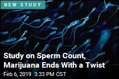 Marijuana Is Bad for Sperm, Right? Maybe Not