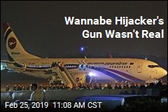 Hijacker Wannabe Had a Toy Gun: Cops