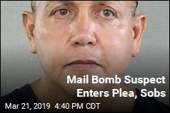 Man Admits Mailing Pipe Bombs to Trump Foes