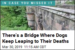 Inside the Mystery of Scotland&#39;s &lsquo;Dog Suicide Bridge&rsquo;