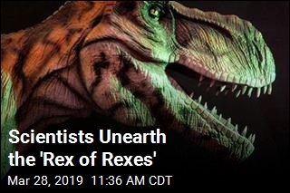 Scientists Unearth the &#39;Rex of Rexes&#39;