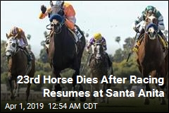 23rd Horse Dies After Racing Resumes at Santa Anita