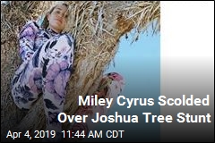 Miley Cyrus Tries to Avoid Drama, Finds It in a Tree