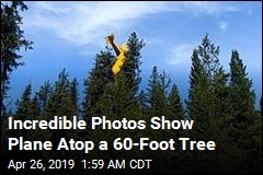 Plane Crash-Lands in 60-Foot Tree