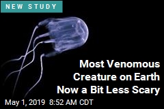 Most Venomous Creature on Earth Now a Bit Less Scary