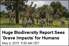 Huge Biodiversity Report Sees &#39;Grave Impacts&#39; for Humans