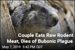 Couple Eats Raw Marmot Meat, Dies of Bubonic Plague
