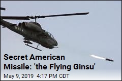 Secret American Missile: &#39;the Flying Ginsu&#39;