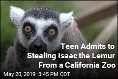 Guy Stole a Lemur From a California Zoo