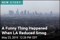 A Funny Thing Happened When LA Reduced Smog