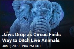 Circus Finds a Way Out of Using Live Animals