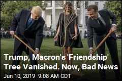 Reports: Trump-Macron &#39;Friendship&#39; Tree Bit the Dust