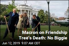 Macron: I&#39;m Sending Trump a New Tree