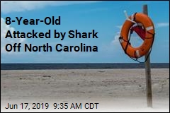 North Carolina Sees 3rd Shark Attack This Month