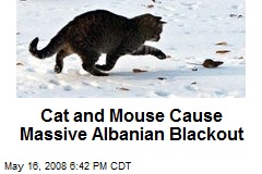 Cat and Mouse Cause Massive Albanian Blackout