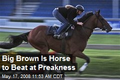 Big Brown Is Horse to Beat at Preakness