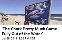 &#39;The Shark Pretty Much Came Fully Out of the Water&#39;