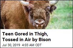 2nd Girl Injured by Bison in Less Than a Week