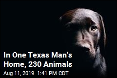Texas Raid Targets &#39;Cruel&#39; Animal Owners