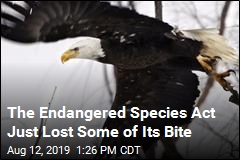 The Endangered Species Act Just Lost Some of Its Bite