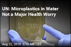 UN: Microplastics in Water &#39;Not a Human Health Risk&#39;