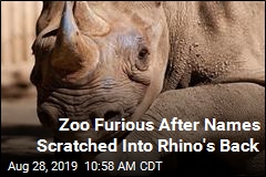 Zoo Calls Out &#39;Stupidity&#39; of Visitors Who Wrote on Rhino