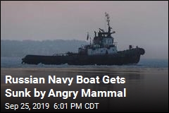 Angry Walrus Sinks Russian Navy Vessel