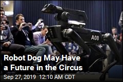 Robot Dog May Have a Future in the Circus
