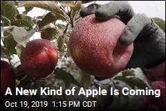 A New Kind of Apple Is Coming
