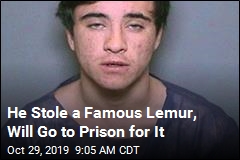 He Took a Lemur From a Zoo, Will Go to Prison for It