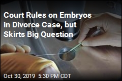 Court Rules on Frozen Embryos in Center of Divorce Case